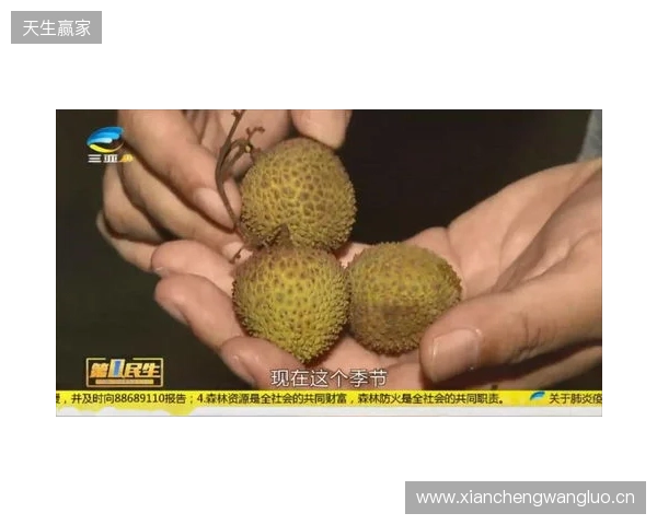 穆德里克因车窗贴膜颜色过深被拦下后,被发现禁驾期内驾驶